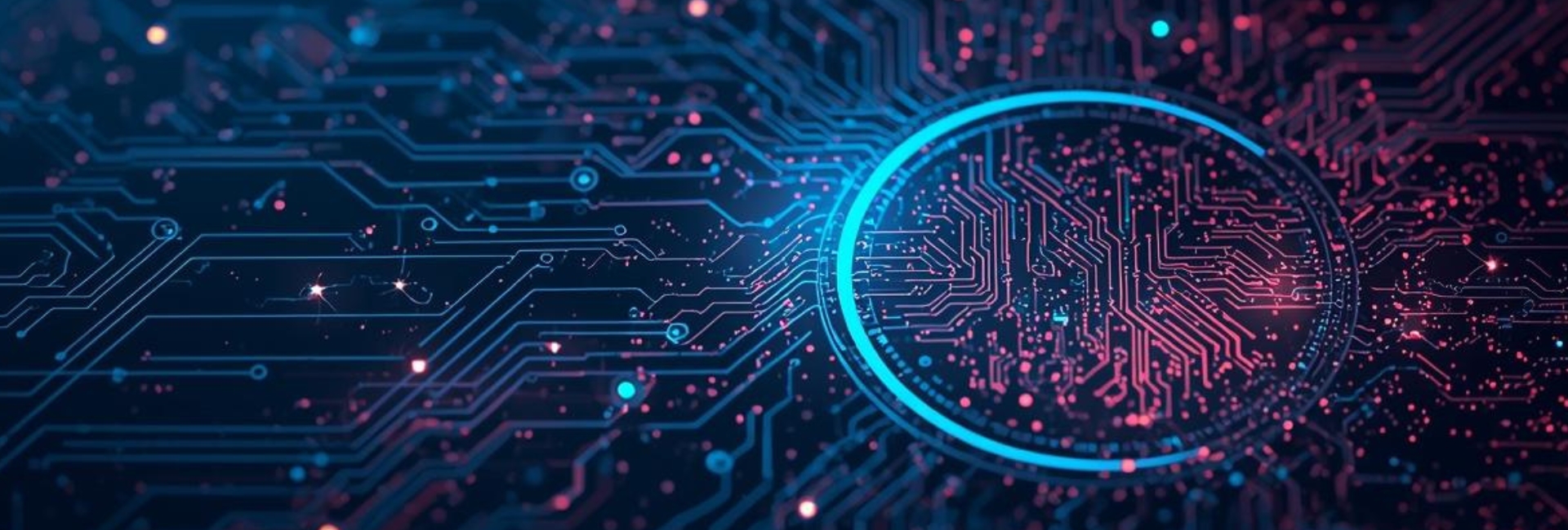 Disclaimer & Copyright